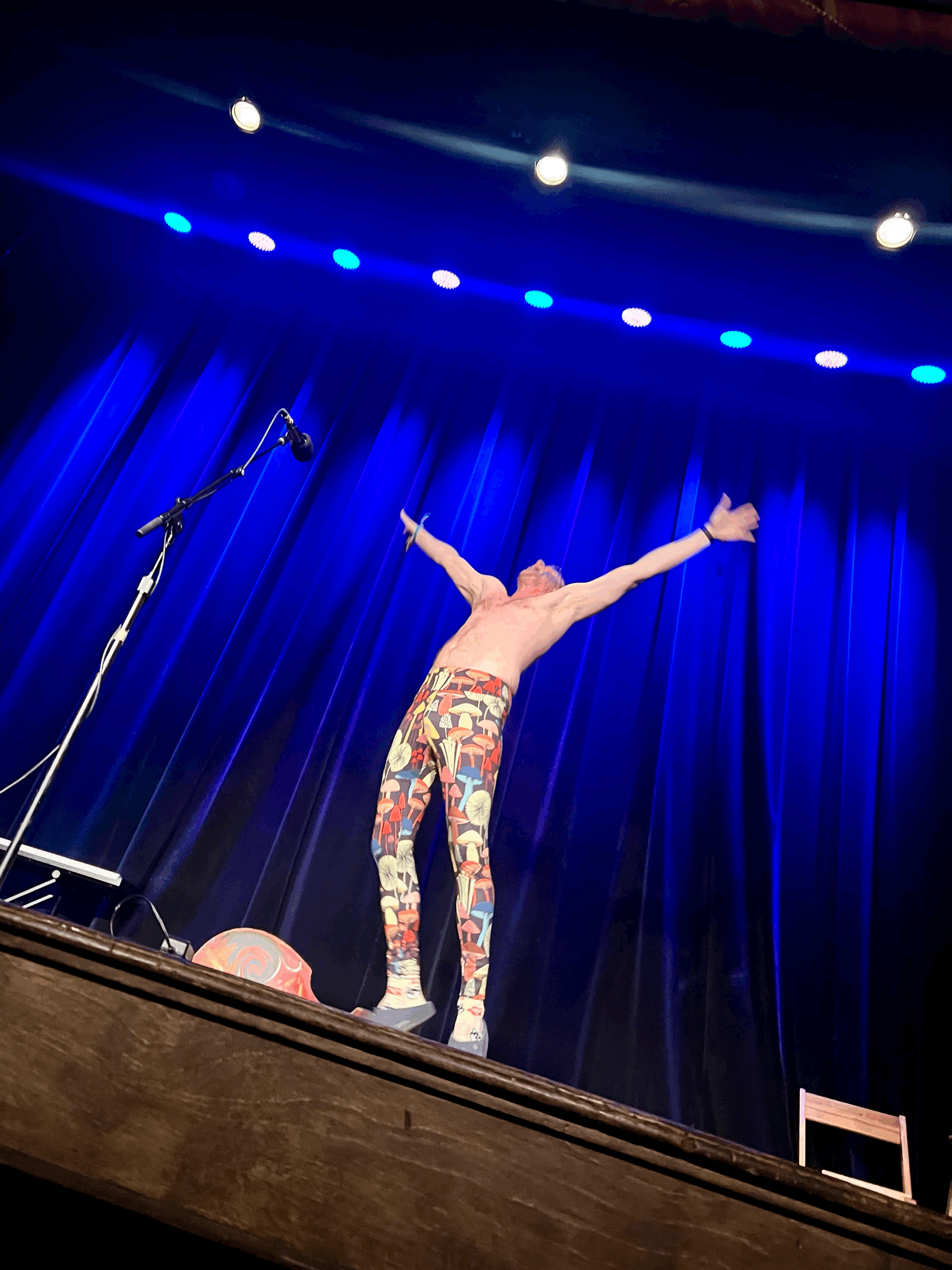 The Mushroom King is Running for President