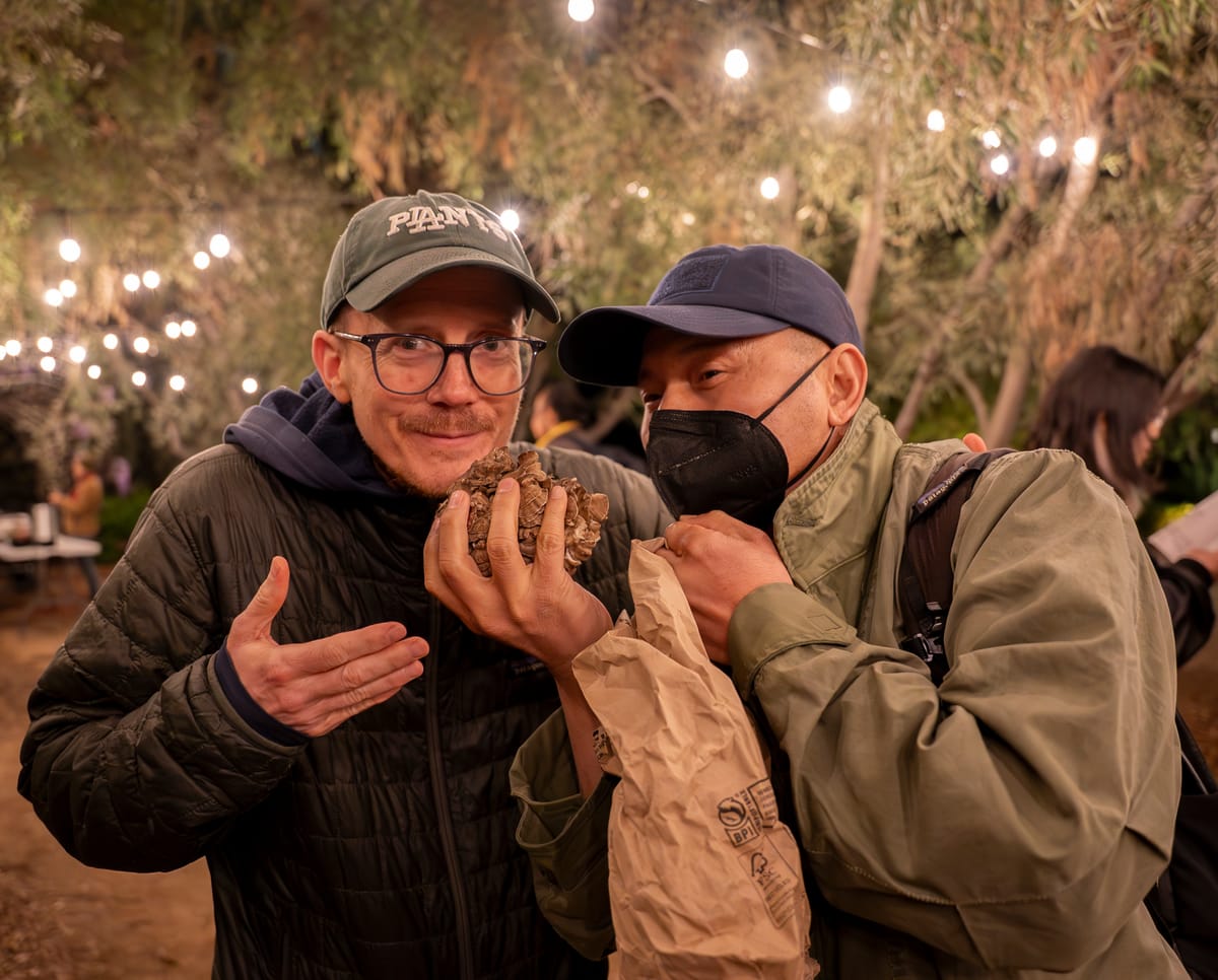 The Mushroom King: 2028