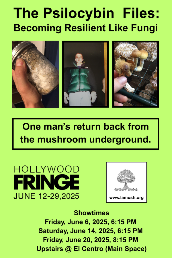 Announcing The Psilocybin Files: Becoming Resilient Like Fungi (One-Person Show!)