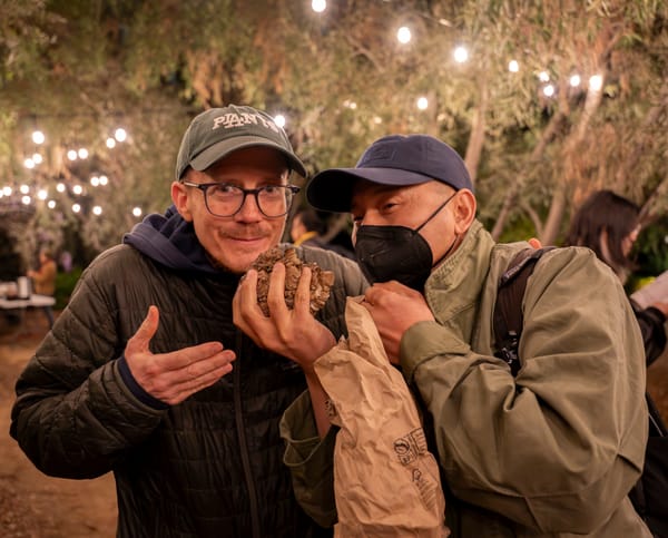 The Mushroom King: 2028